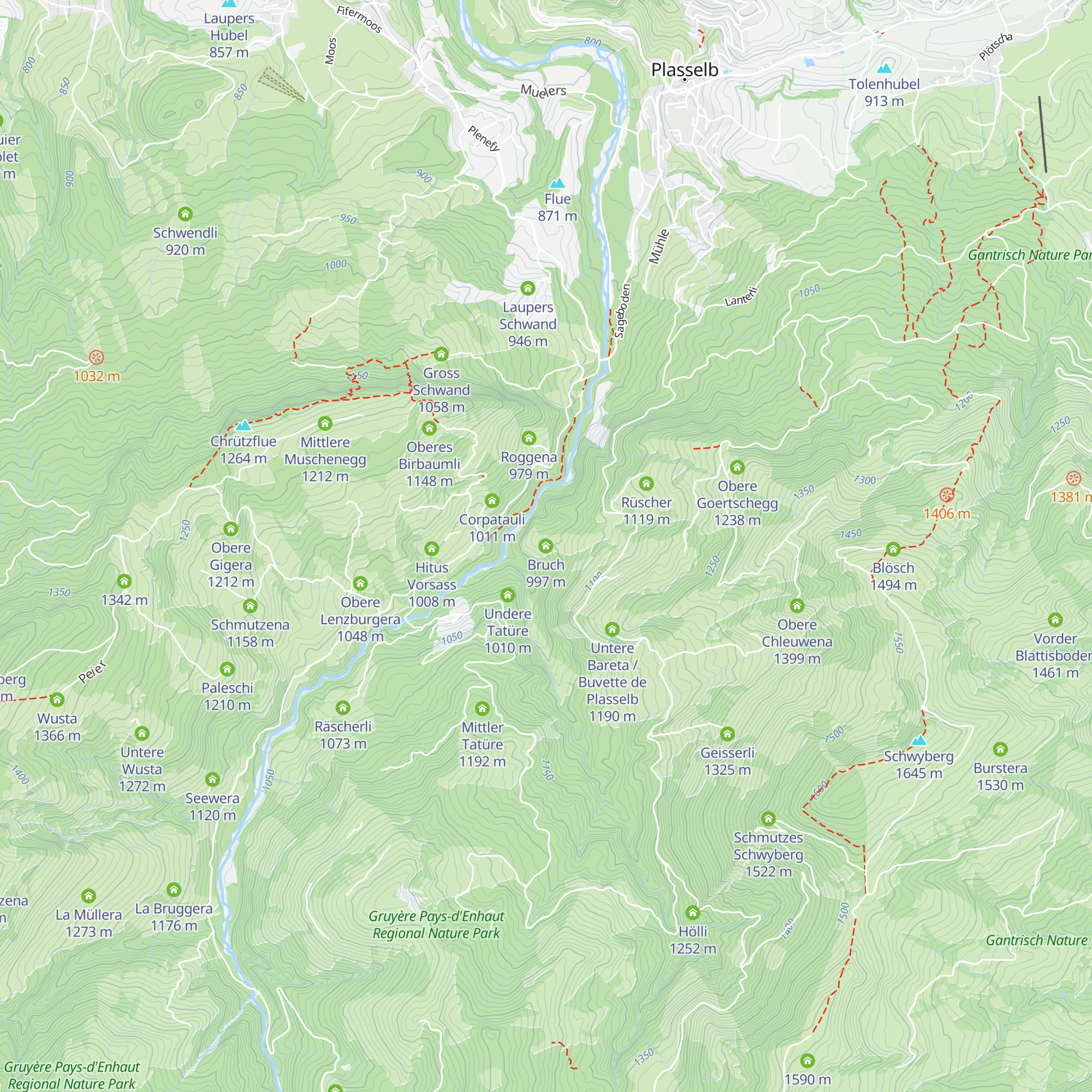 Bruch map