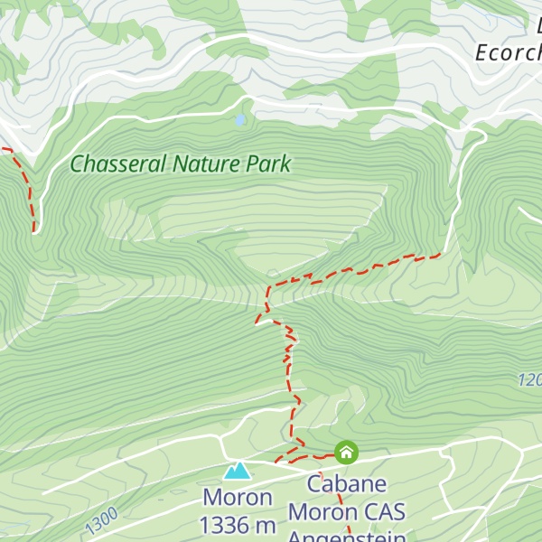 Map of Montaigu