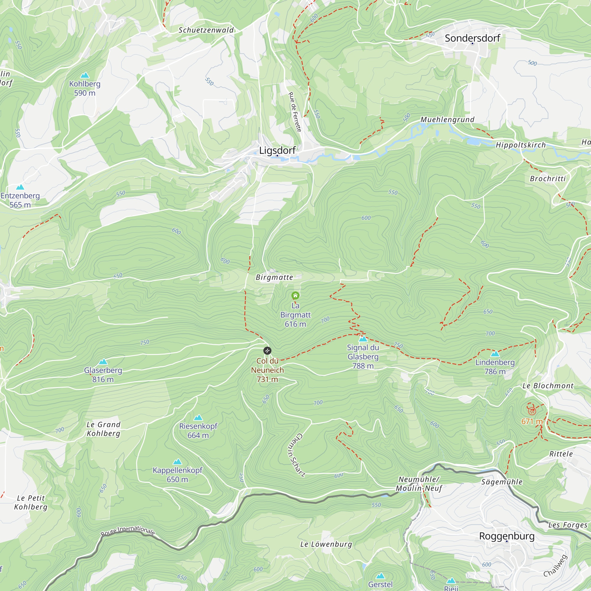 La Birgmatt map