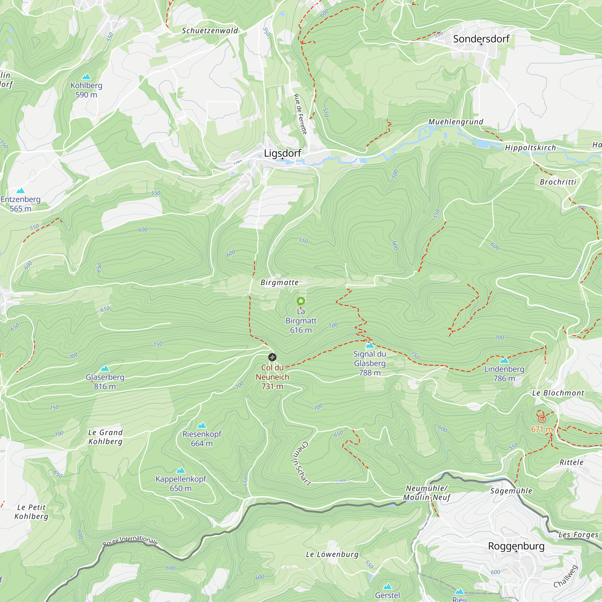 La Birgmatt map