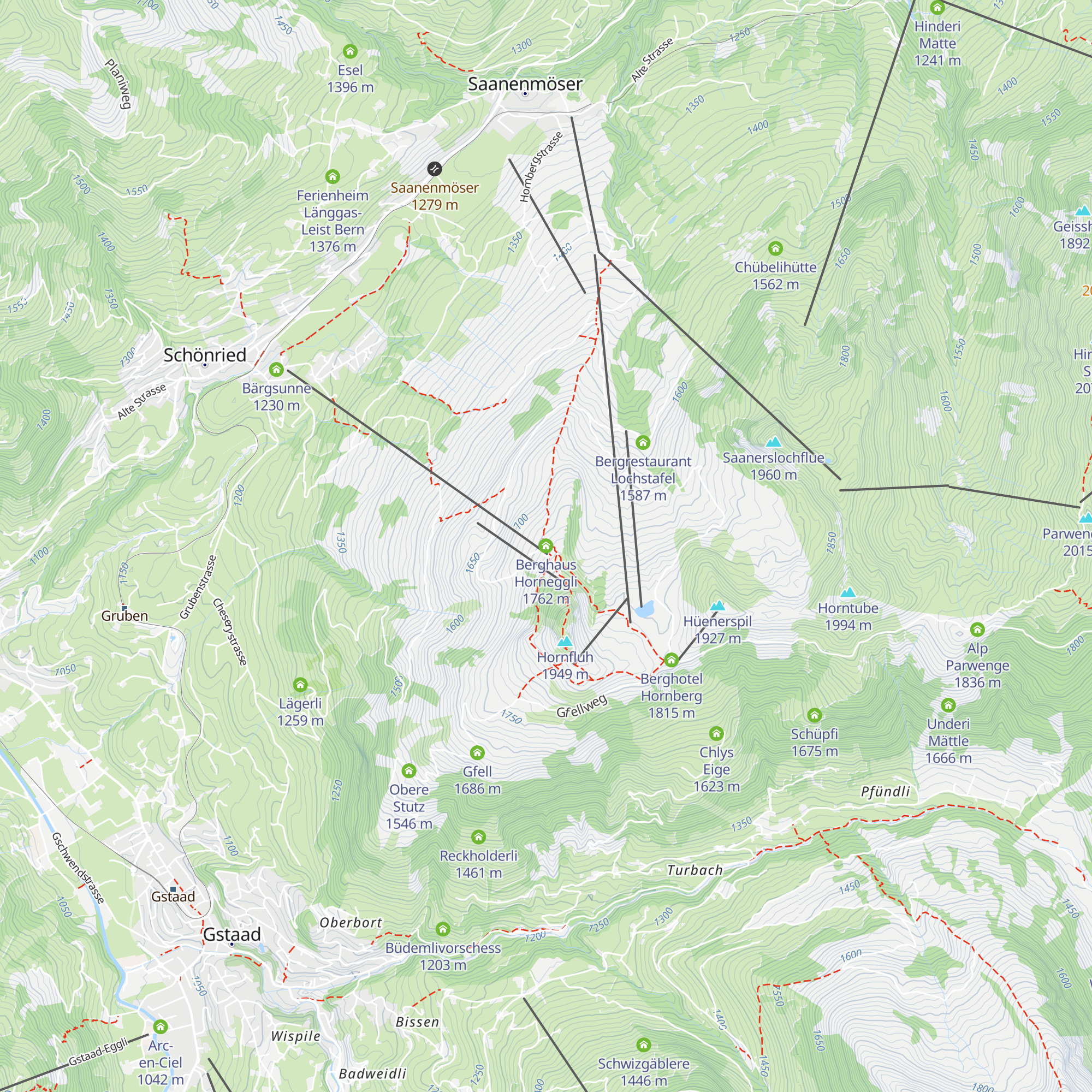 Berghaus Horneggli map