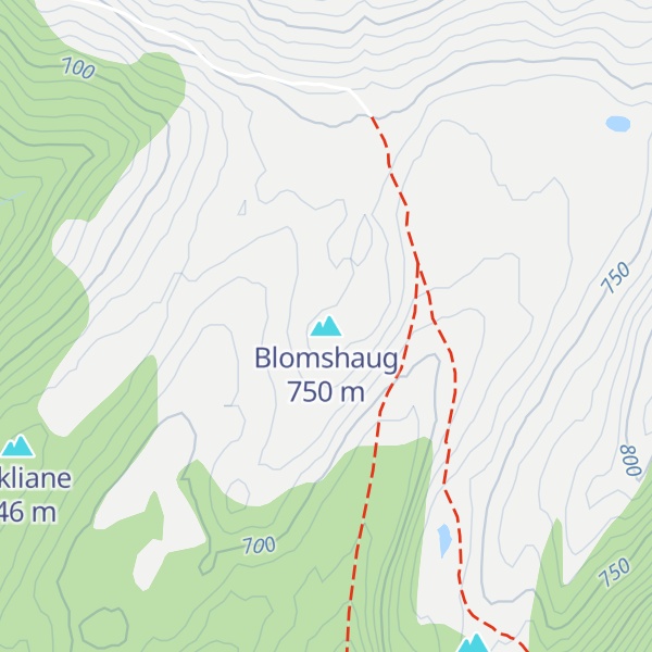 Map of Blomshaug