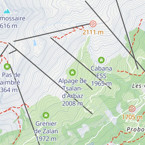 Map of Alpage de Tsalan-d'Arbaz