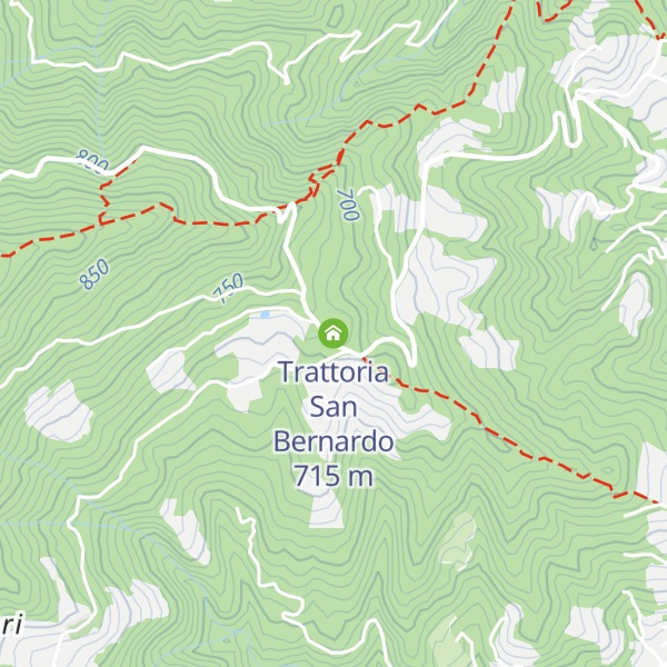 Map of Trattoria San Bernardo