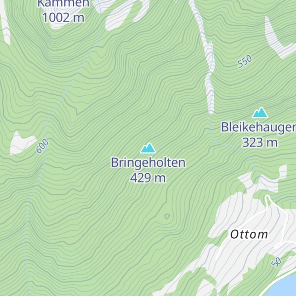 Map of Bringeholten