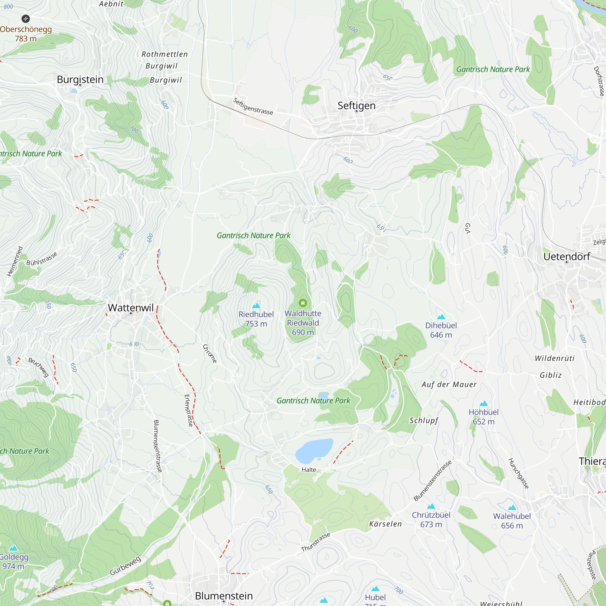 Waldhütte Riedwald map