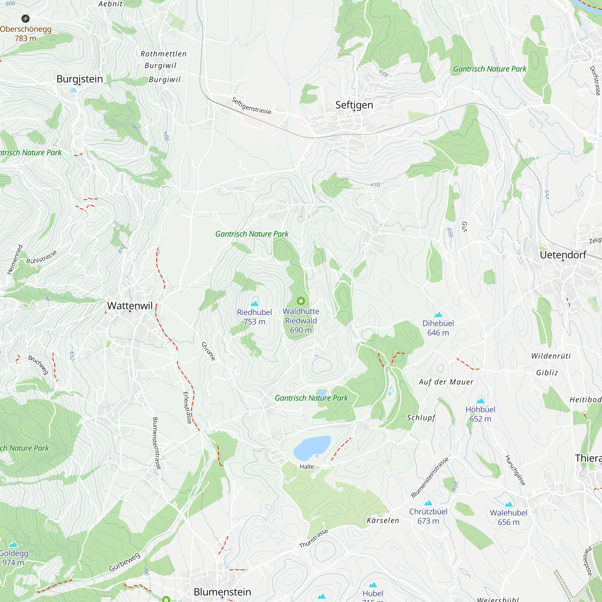 Waldhütte Riedwald map