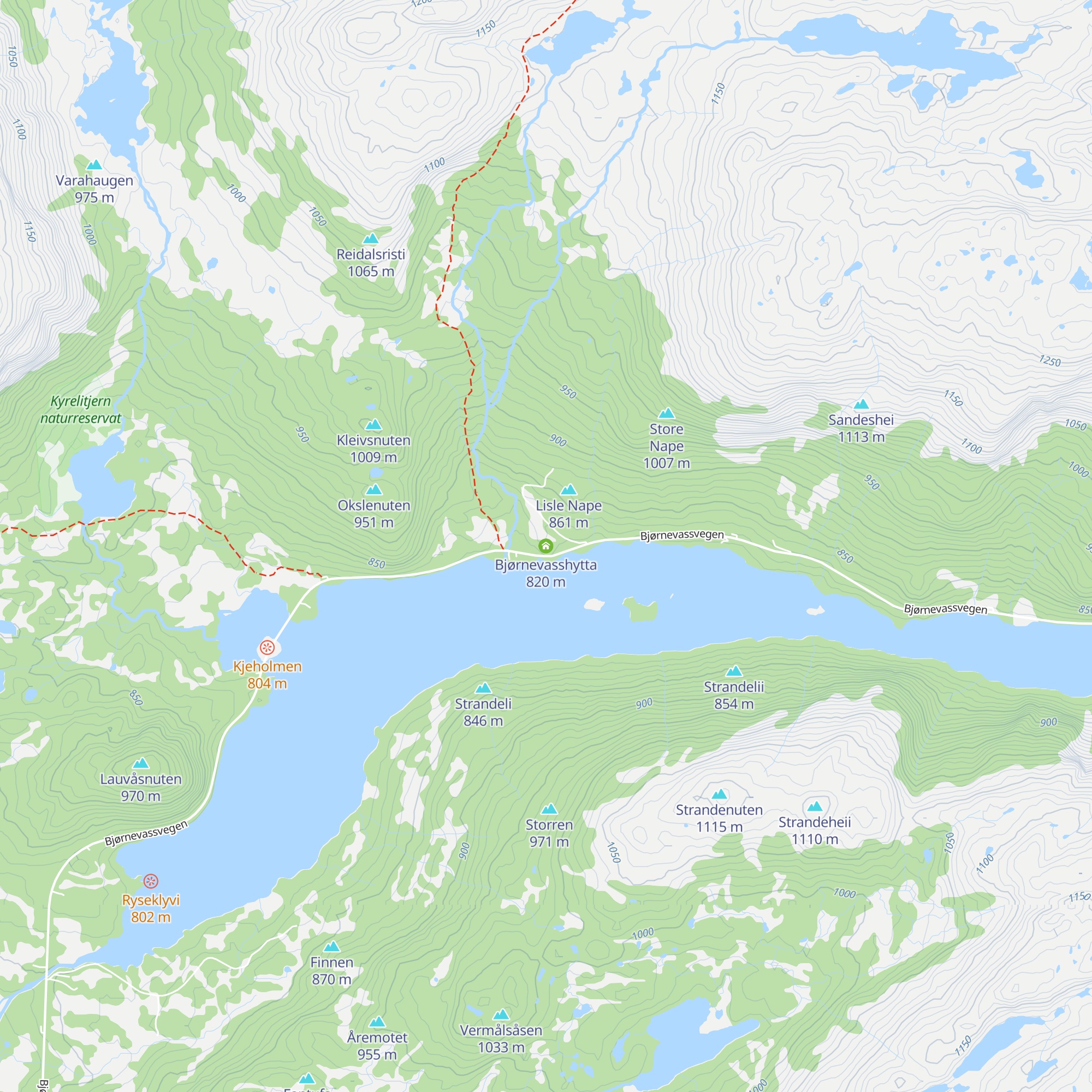 Bjørnevasshytta map