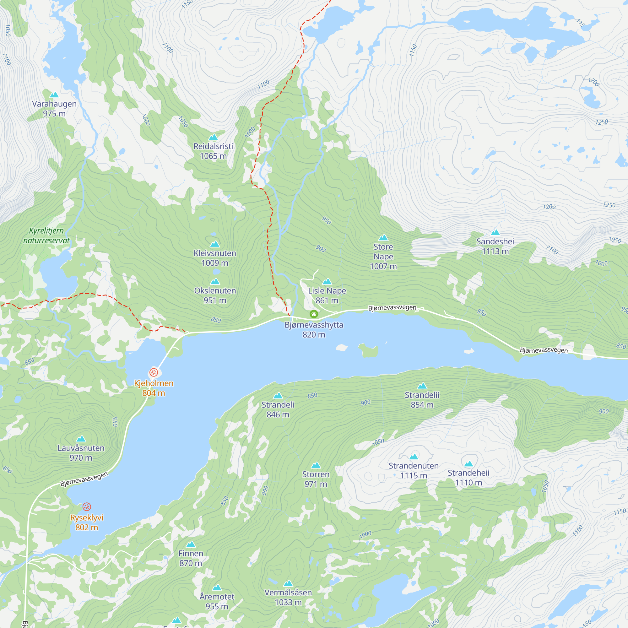 Bjørnevasshytta map