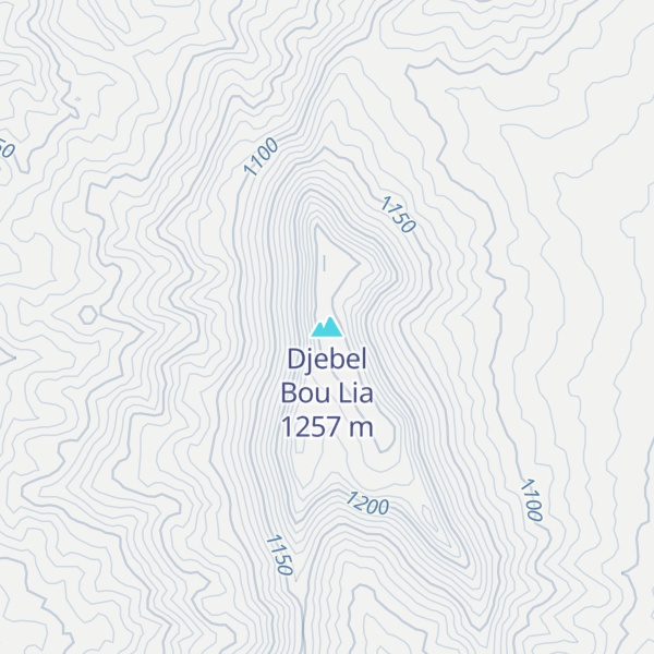 Map of Djebel Bou Lia