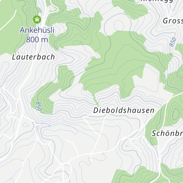 Map of Diepoldshusenegg