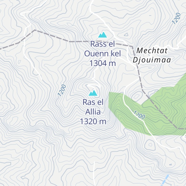 Map of Ras el Allia