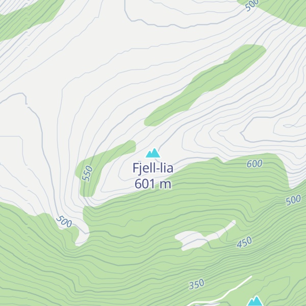 Map of Fjell-lia