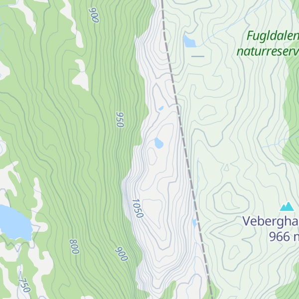 Map of Nutsfjell