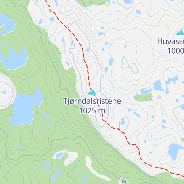 Map of Tjørndalsristene