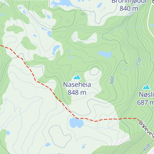Map of Naseheia