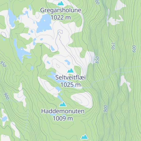 Map of Seltveitflæi