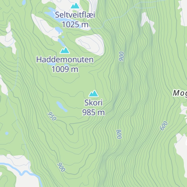 Map of Skori