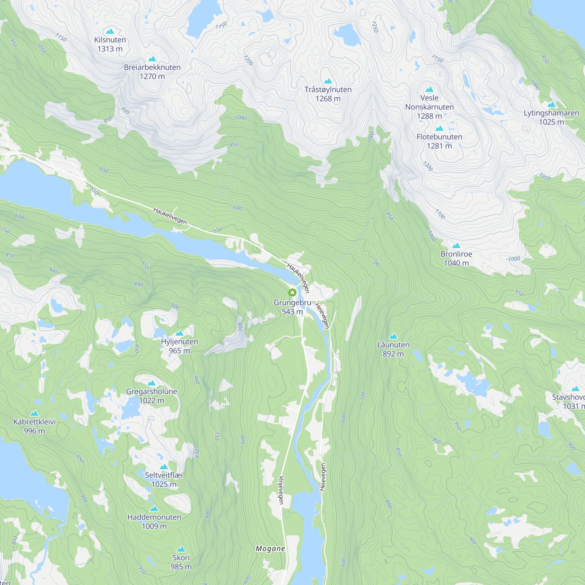 Grungebru map