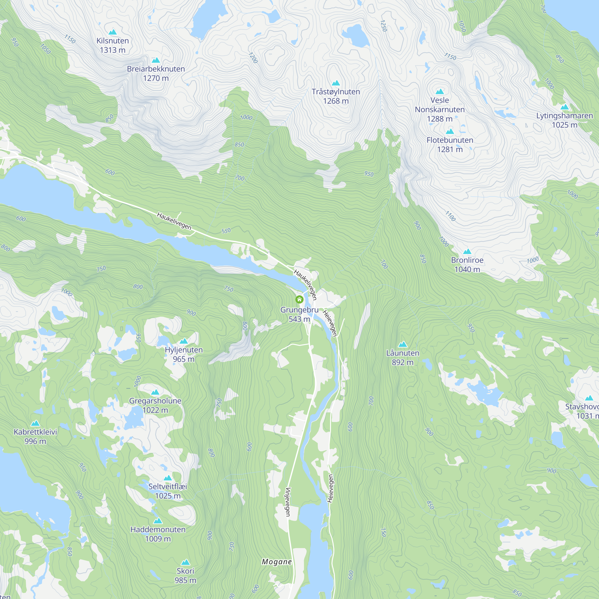 Grungebru map