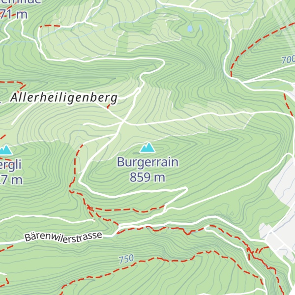 Map of Burgerrain