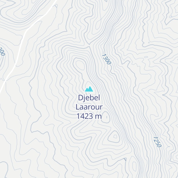 Map of Djebel Laarour