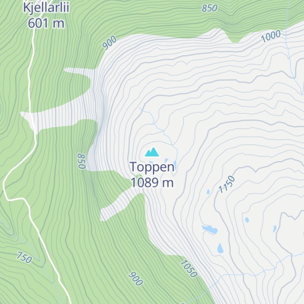 Map of Toppen
