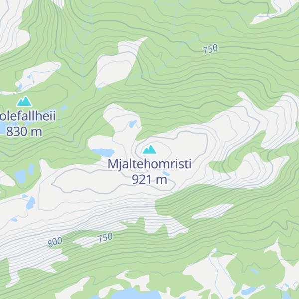 Map of Mjaltehomristi