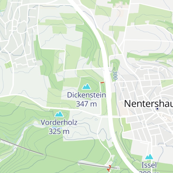 Map of Dickenstein