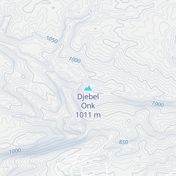 Map of Djebel Onk