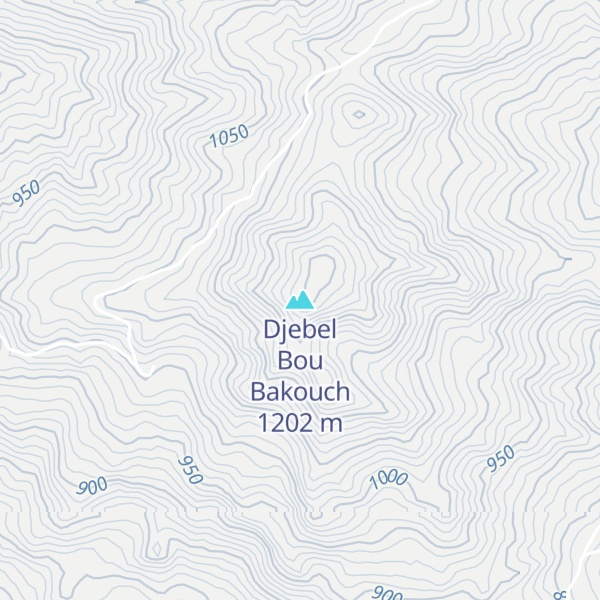 Map of Djebel Bou Bakouch