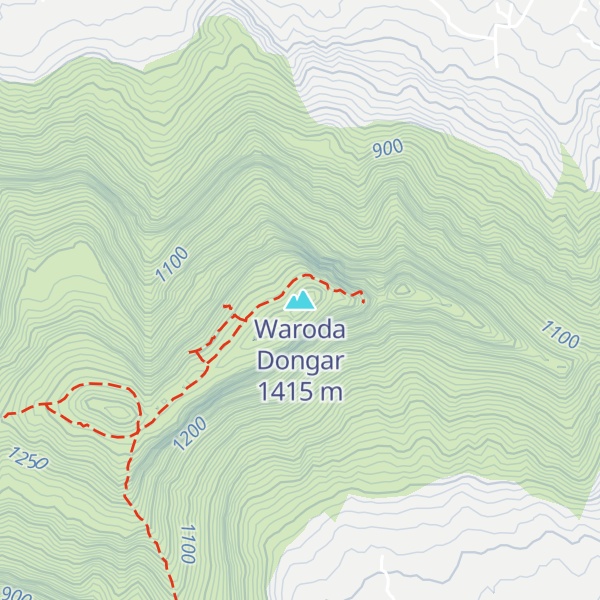 Map of Waroda Dongar