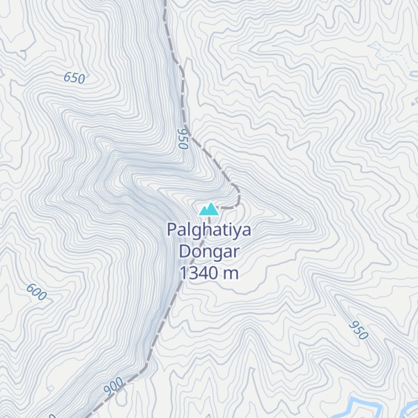 Map of Palghatiya Dongar