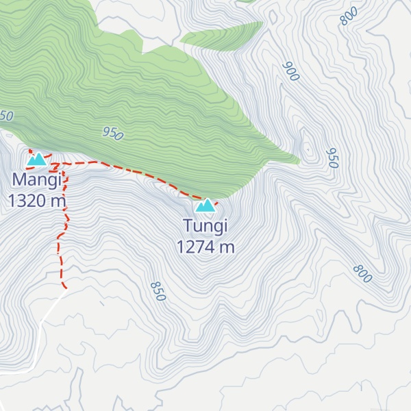 Map of Tungi