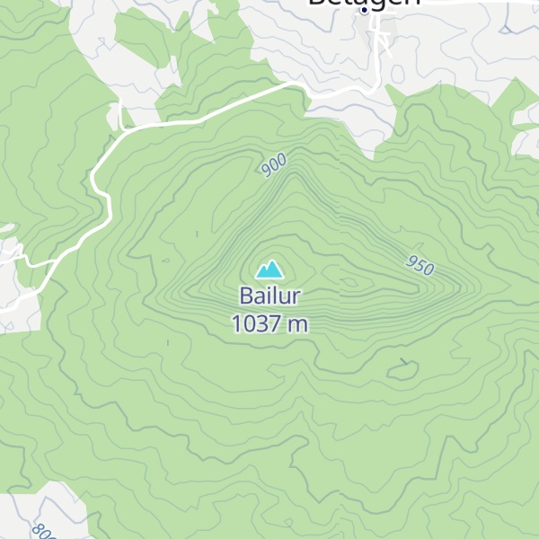 Map of Bailur
