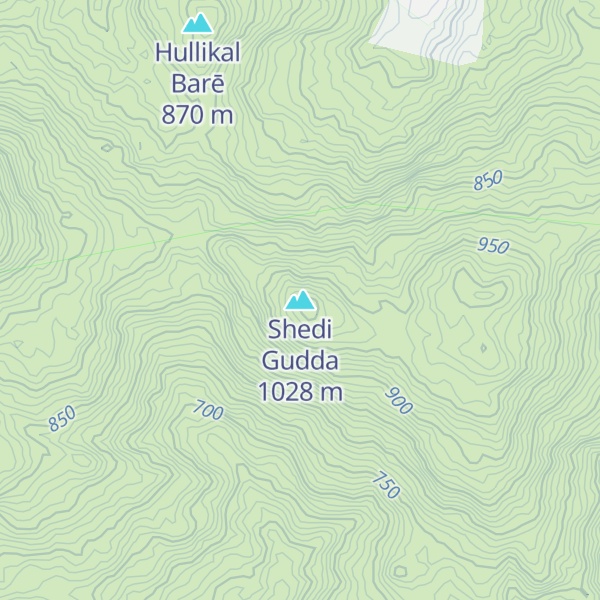 Map of Shedi Gudda
