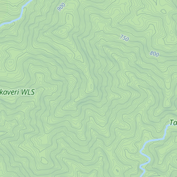 Map of Pudapampare Motte