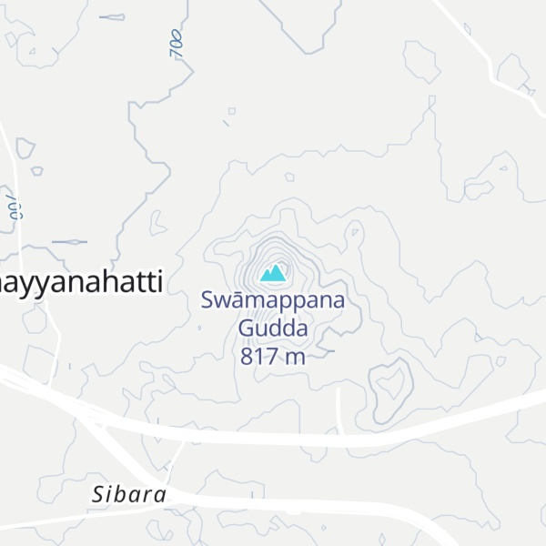 Map of Swāmappana Gudda