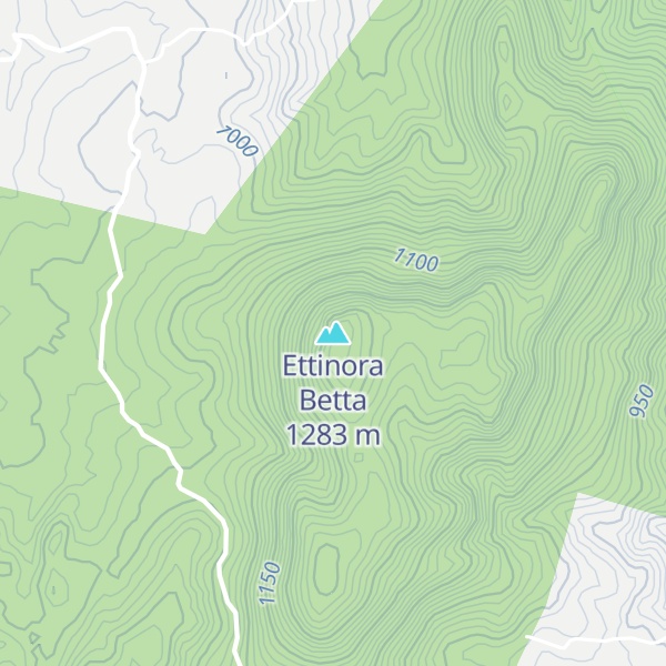 Map of Ettinora Betta