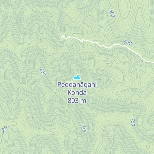 Map of Peddanāgani Konda