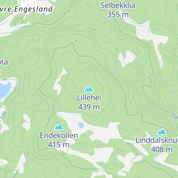 Map of Lillehei