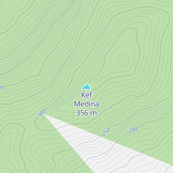 Map of Kef Medina