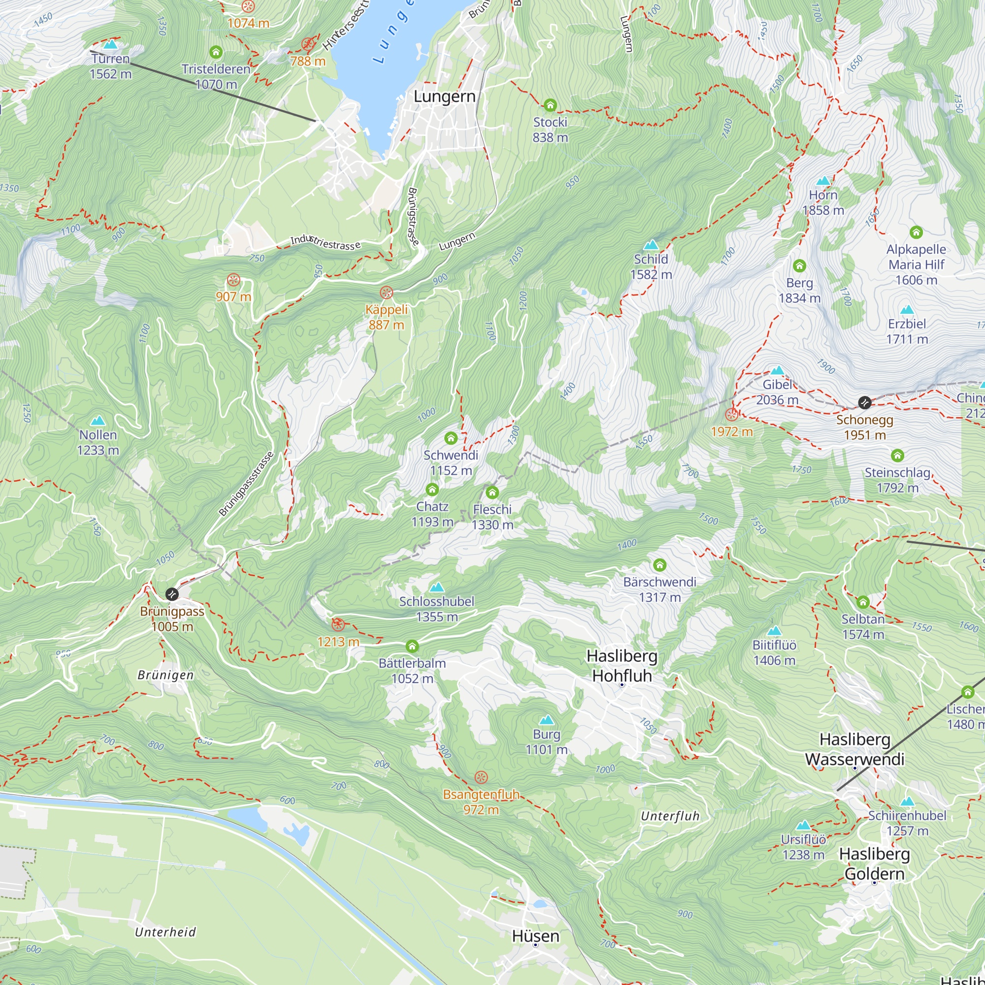 Fleschi map