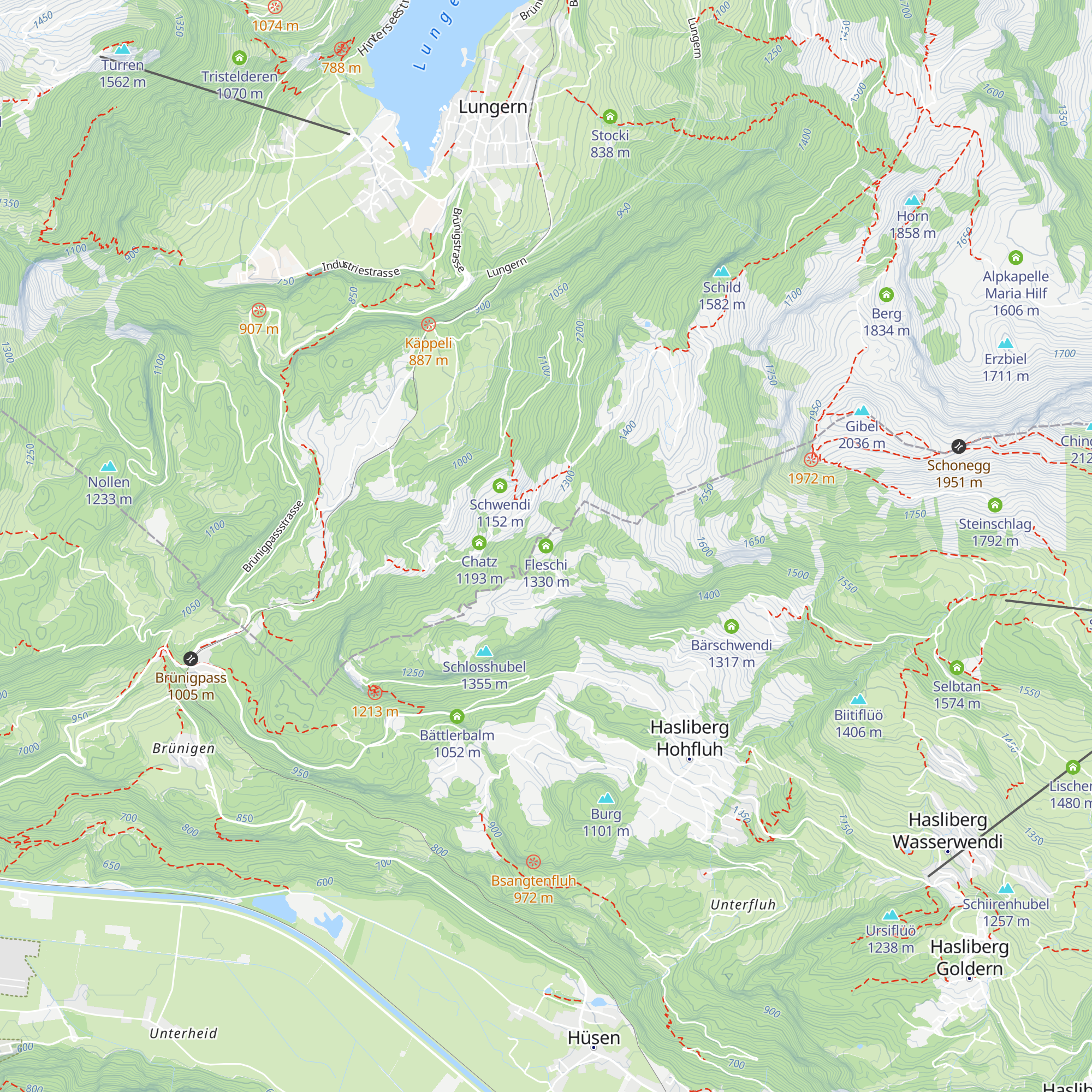 Fleschi map