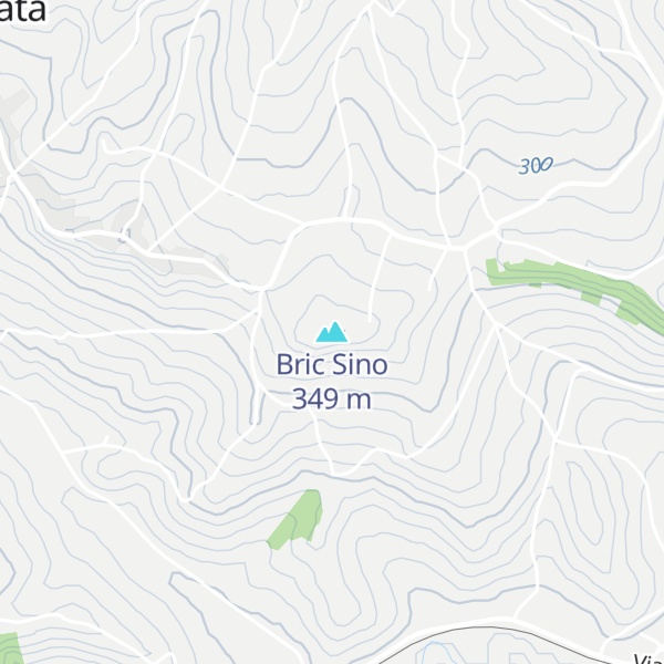Map of Bric Sino