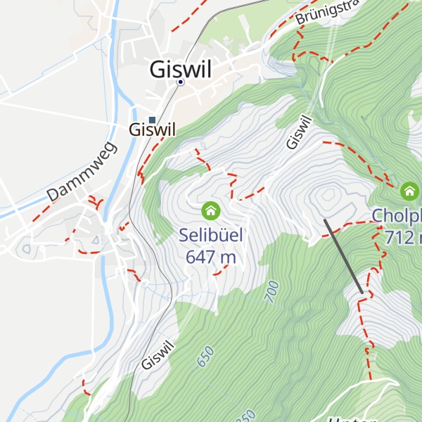 Map of Selibüel