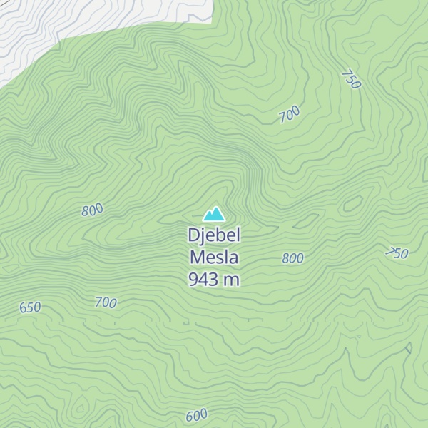 Map of Djebel Mesla