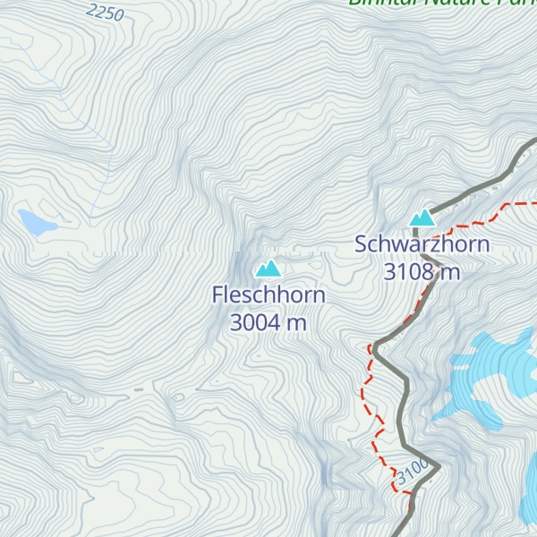 Map of Fleschhorn