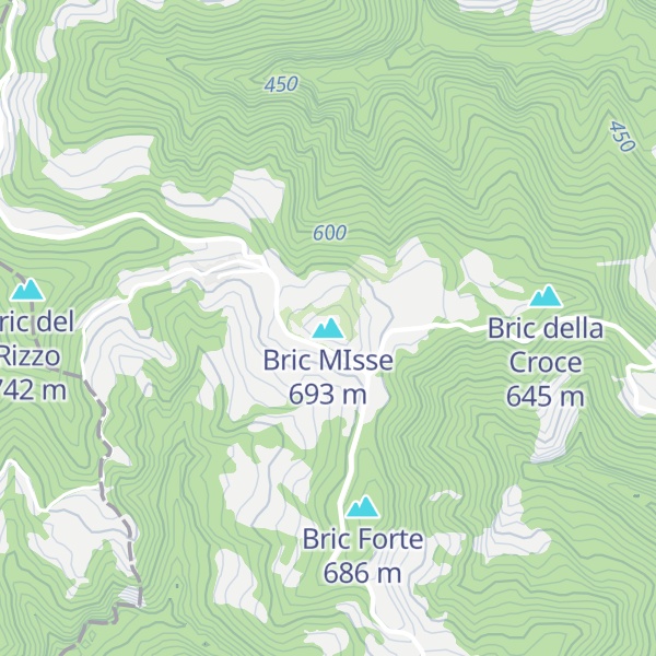 Map of Bric MIsse