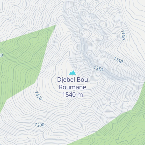 Map of Djebel Bou Roumane